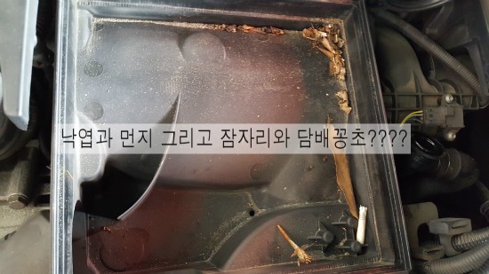 티스테이션영동점 이미지