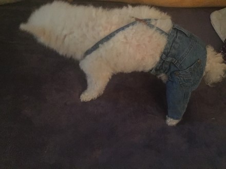남산세차장 이미지