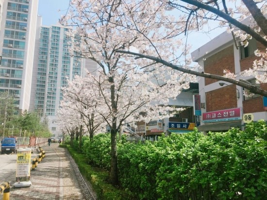 리듬앤스타일 이미지