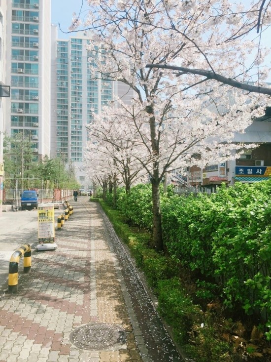 리듬앤스타일 이미지