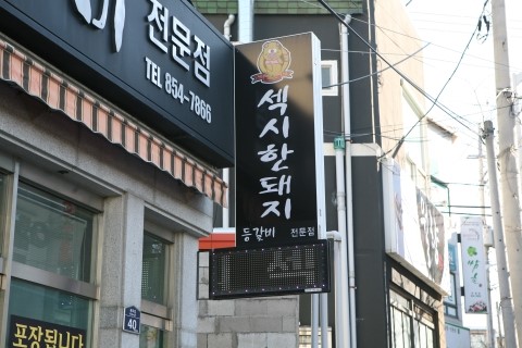 섹시한돼지 이미지