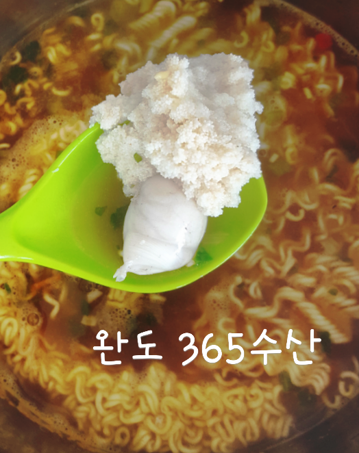 완도수산365 이미지
