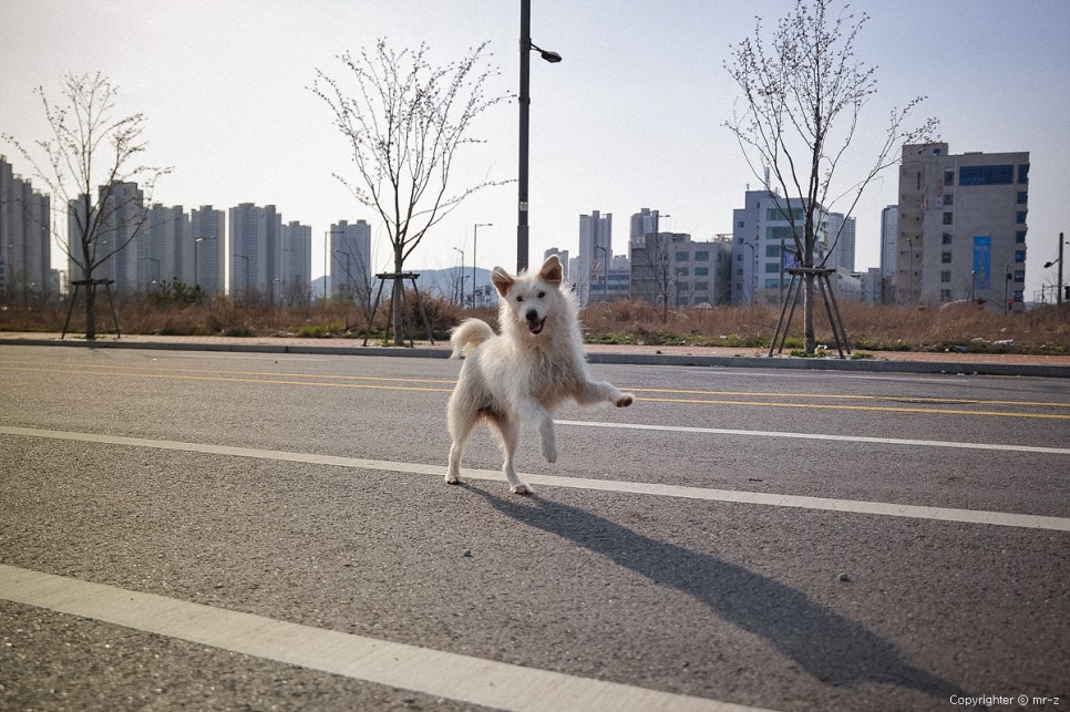 개신남 이미지