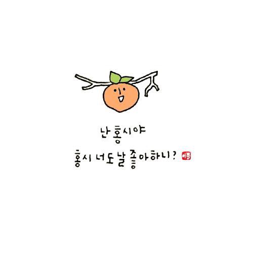 홍시언니네 이미지
