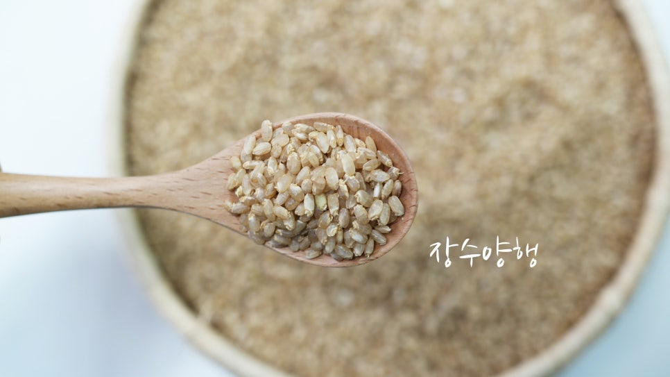 장수양행 이미지