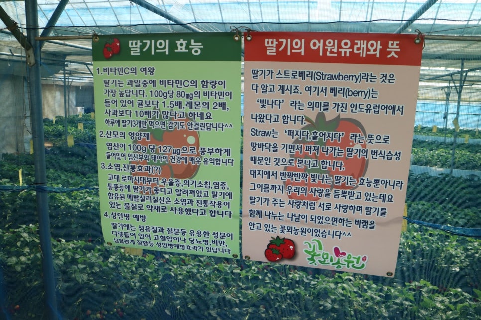 꽃뫼농원 이미지