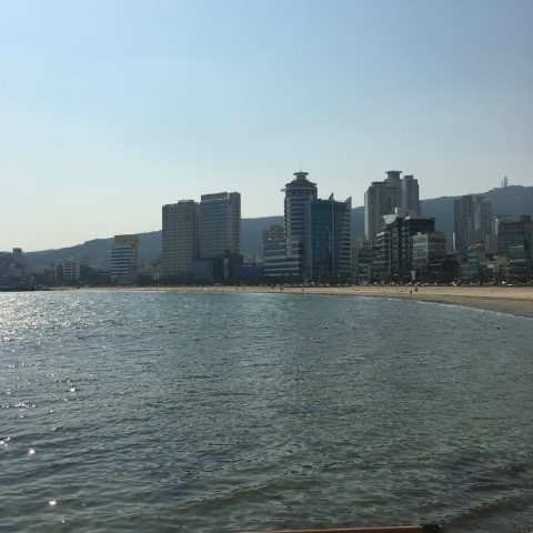 더민헤어수영 이미지