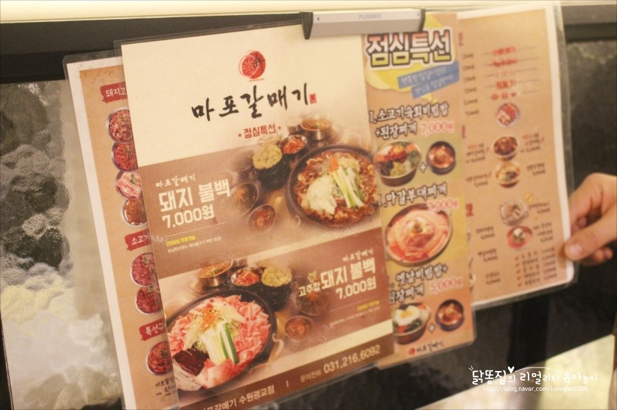 신마포갈매기 사진 7