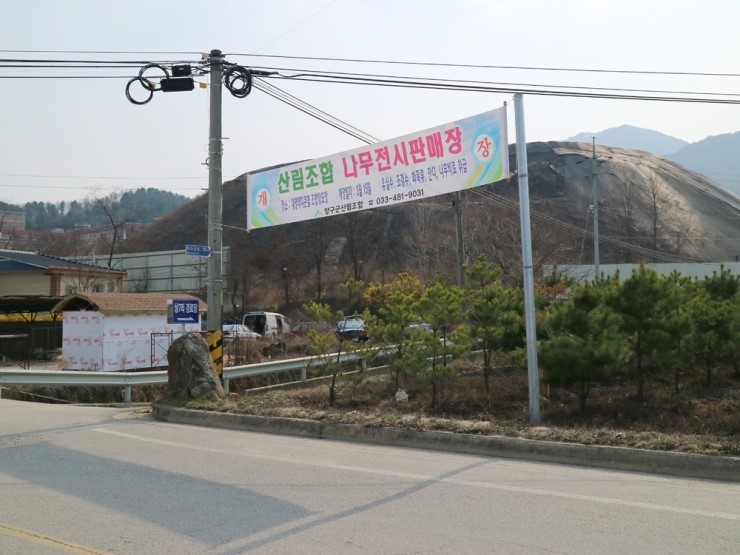 양구군산림조합 이미지