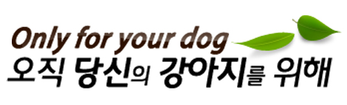 얌얌스낵 이미지