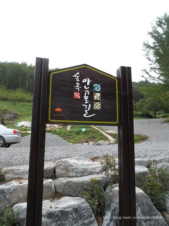 나무그래픽 이미지