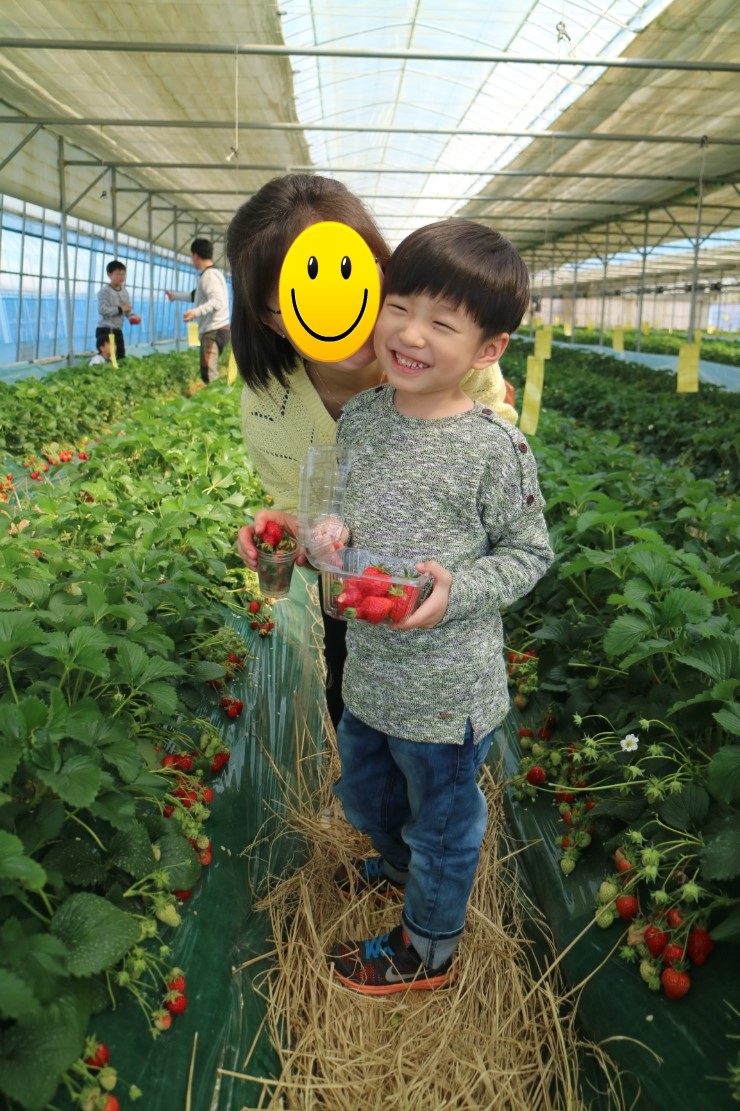 꽃뫼농원 이미지