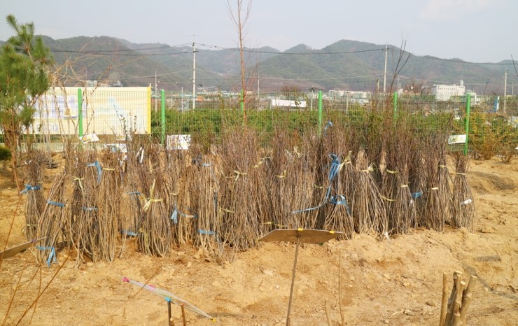 양구군산림조합 이미지