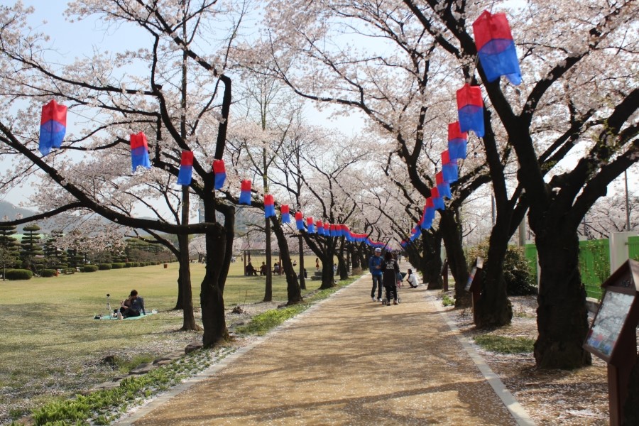 (주)케이티앤지 신탄진공장 이미지