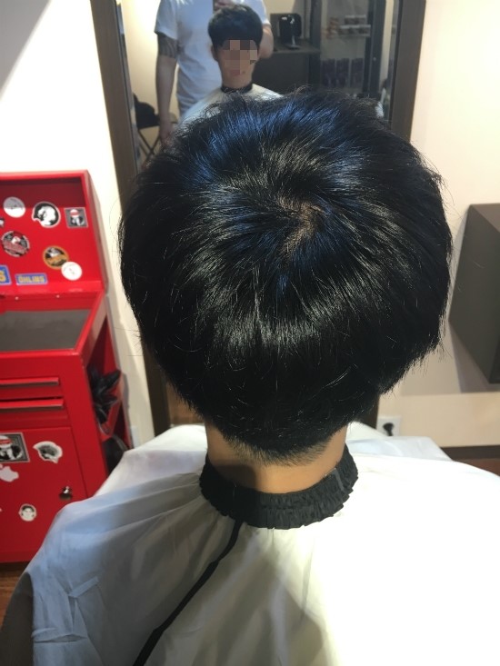 브라운시저스 이미지