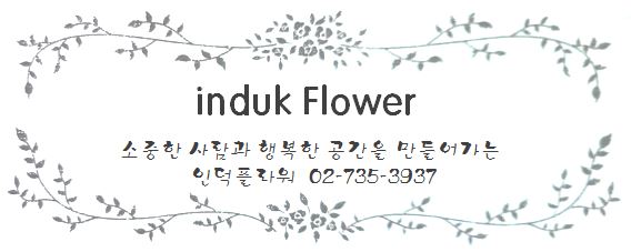 광화문세종문화회관꽃집인덕플라워앤와인 이미지