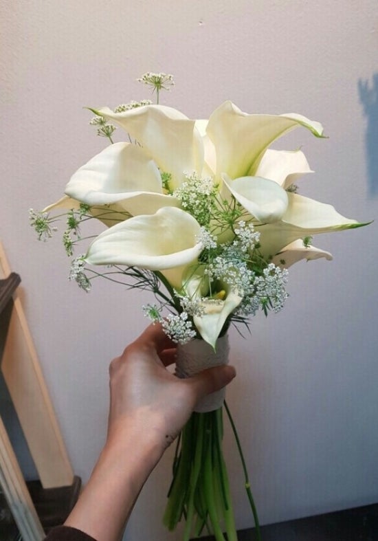 숙정씨 이미지