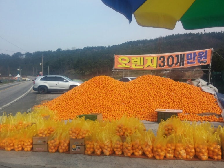 길상농원 이미지