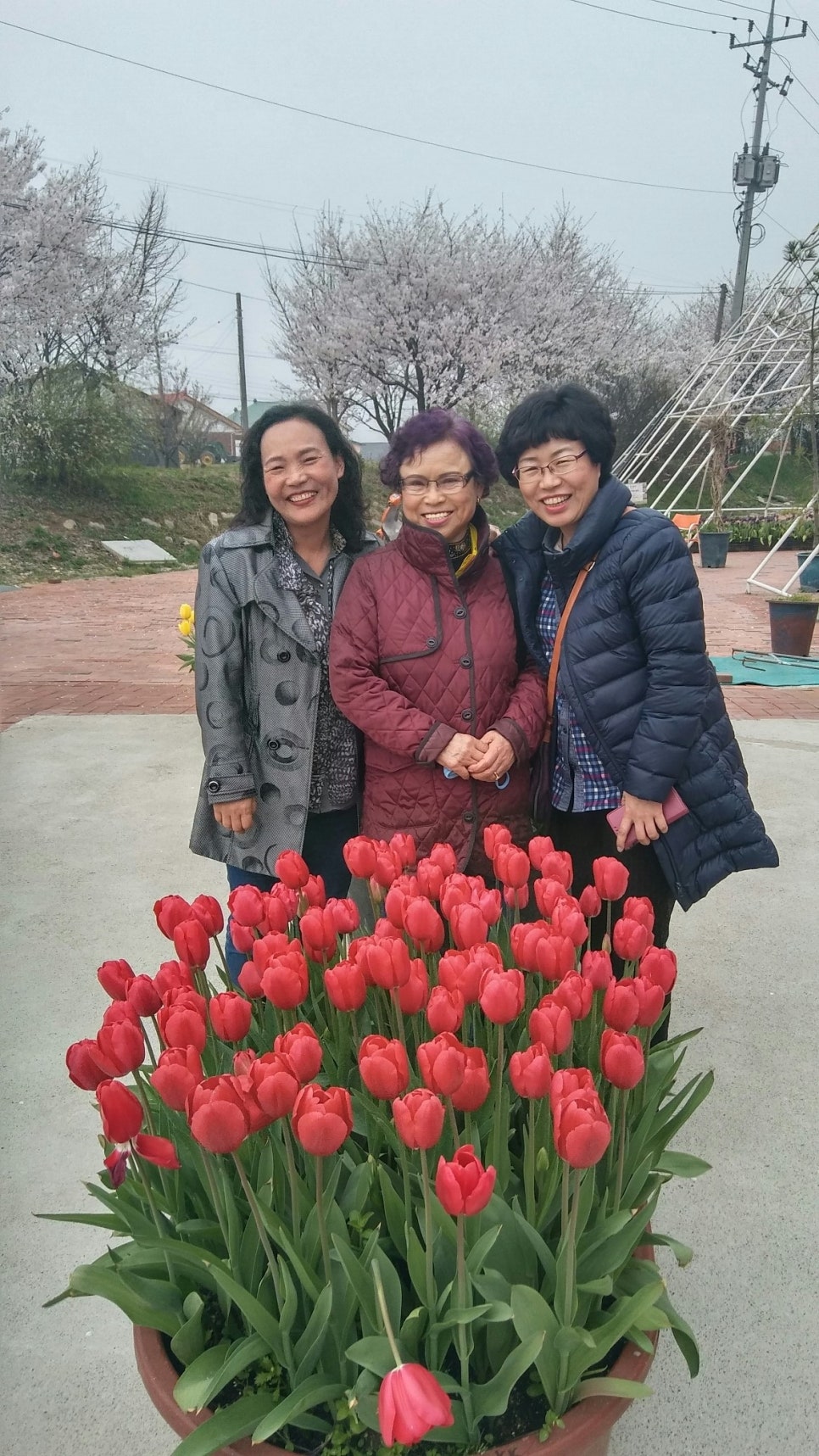 수목원꽃식물원 이미지