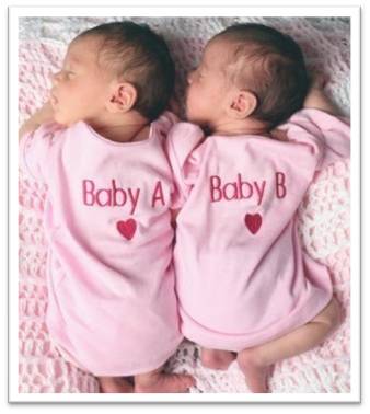 일란성 쌍둥이 이란성 쌍둥이 차이는? : 네이버 블로그
