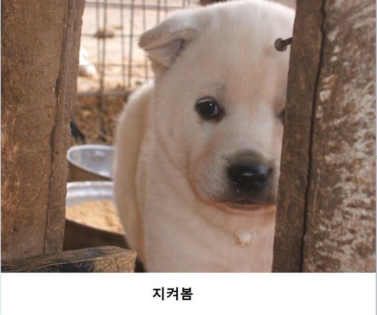 비에이치씨서울 이미지