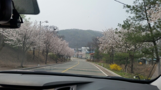 정원치매노인요양센터 이미지