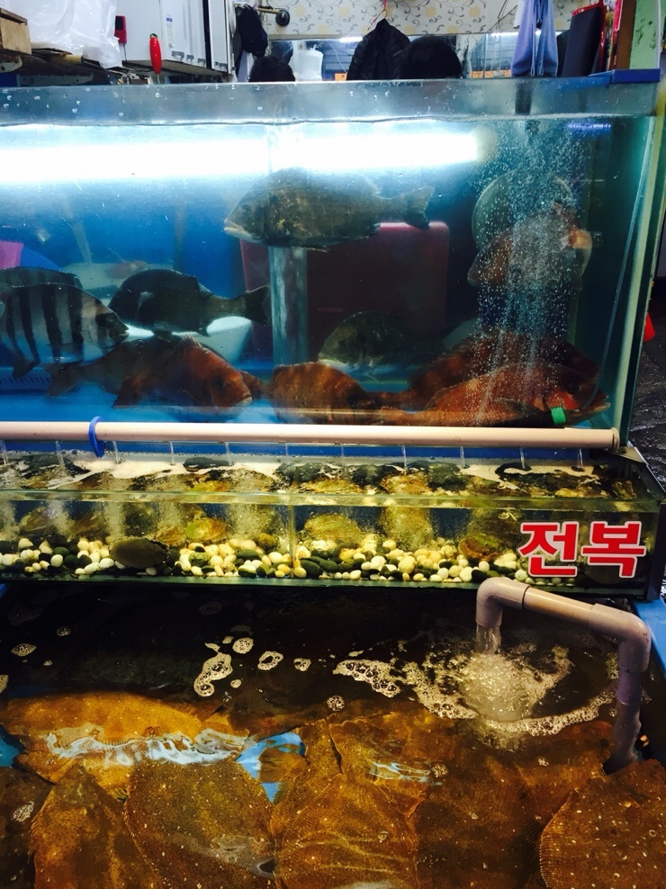석이유통 이미지