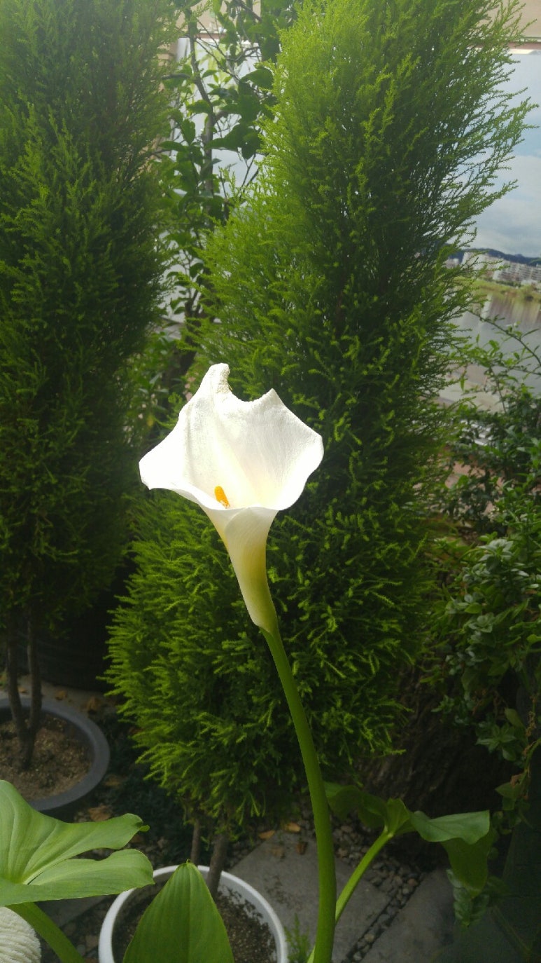 에이스당구장 이미지