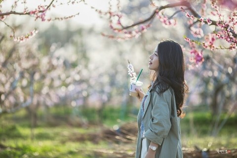 대경붙임머리 이미지