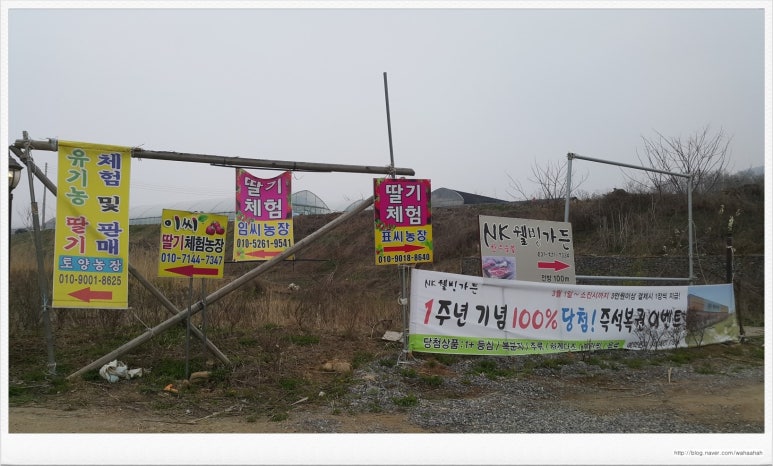 임씨네농장 이미지
