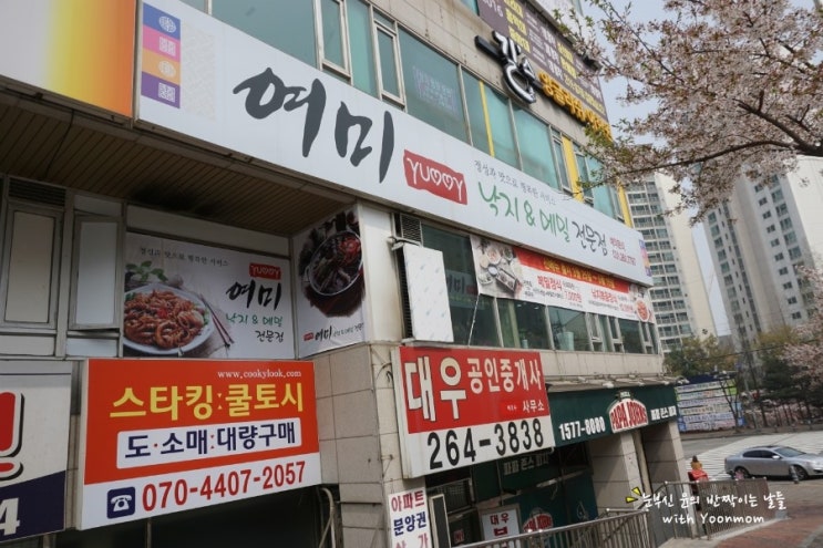 파파존스수지성복 이미지