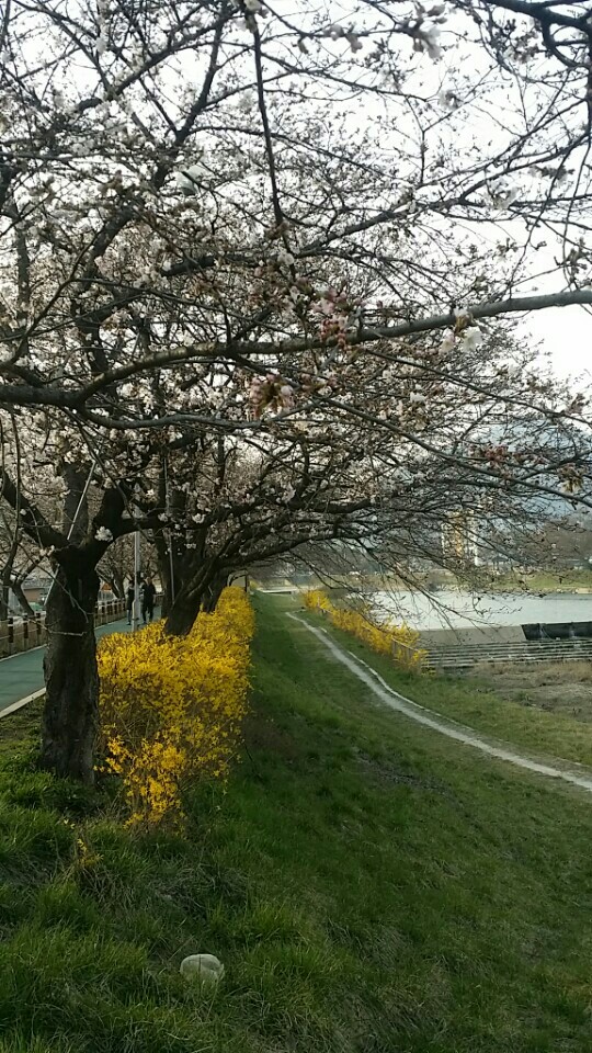 문경철 이미지