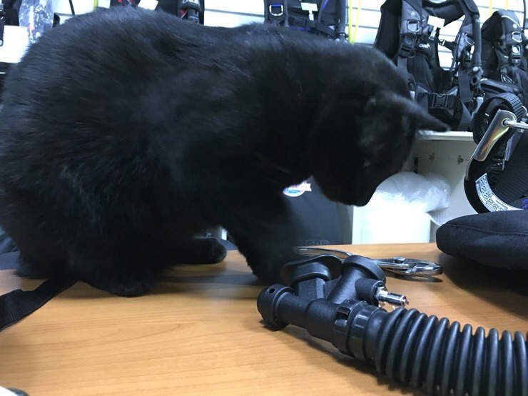 부산스쿠버아카데미 이미지