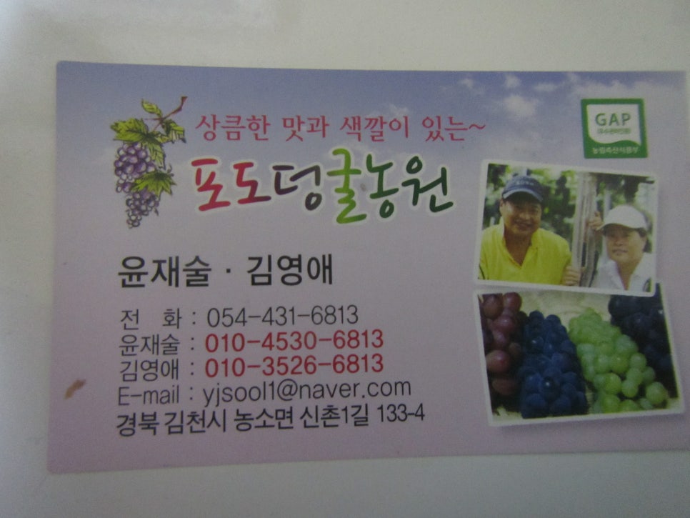 색깔포도 이미지