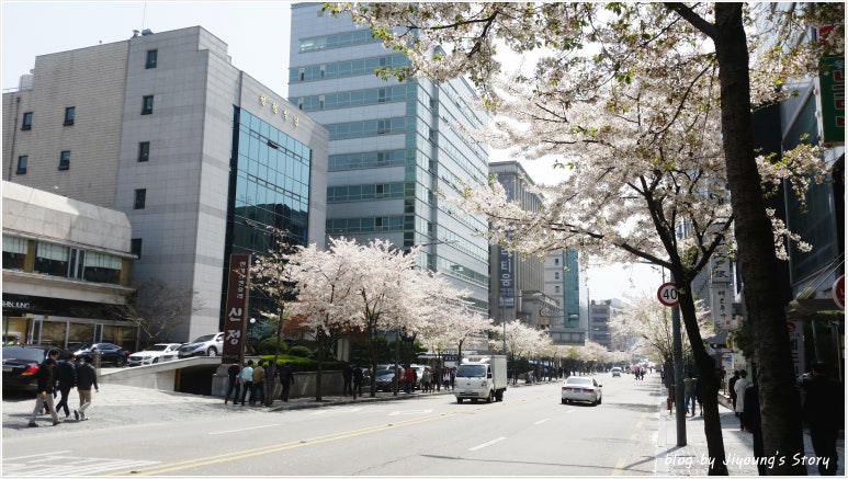 스시보노 이미지