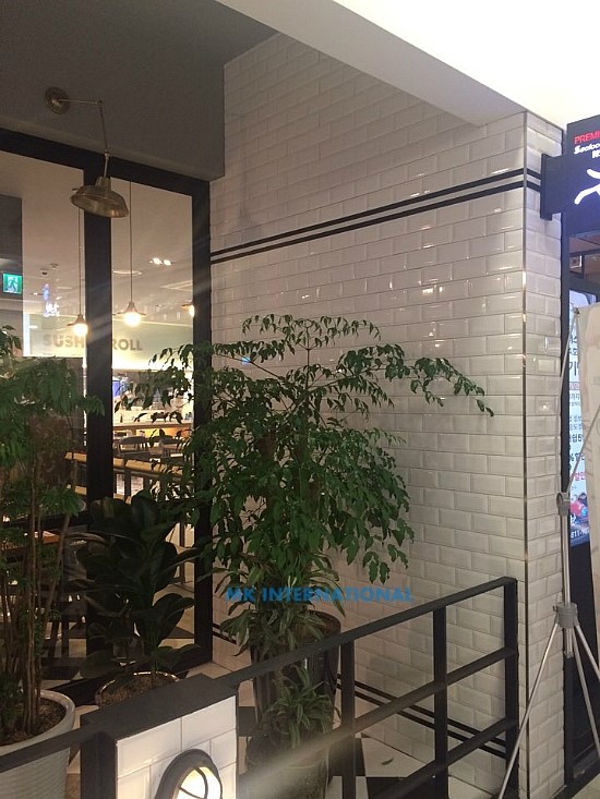 엠케이인터내셔널 이미지