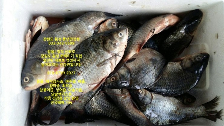 산골건강원 이미지