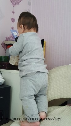 채니마켓 이미지
