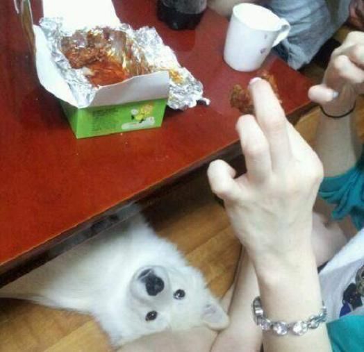 신길동불고기 이미지