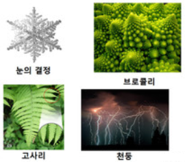 창의필즈 이미지