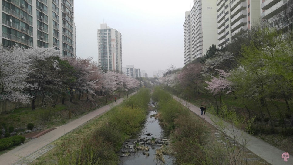 깍쟁이헤어샵 이미지