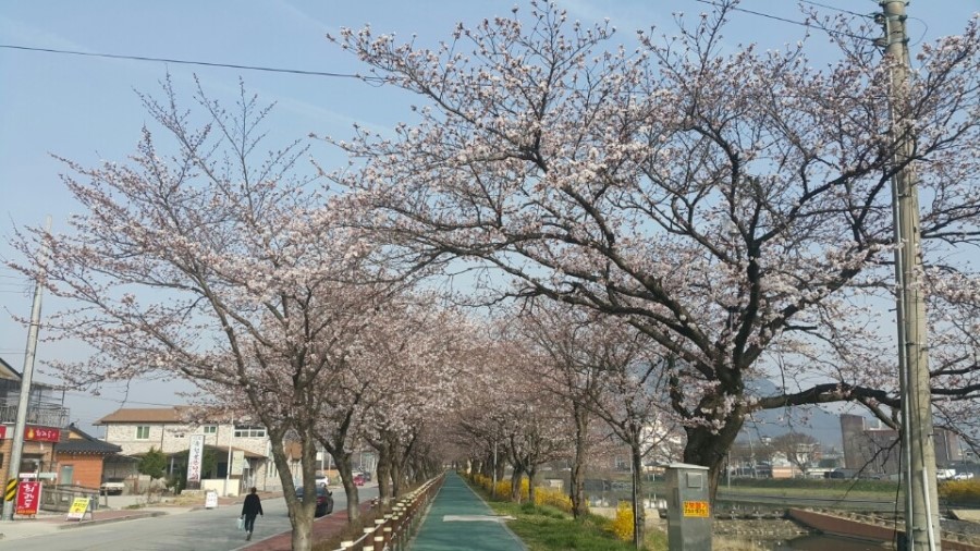 문경철 이미지