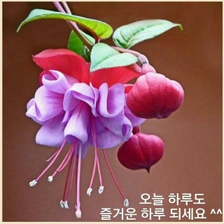 수정중앙 노인종합복지관 이미지