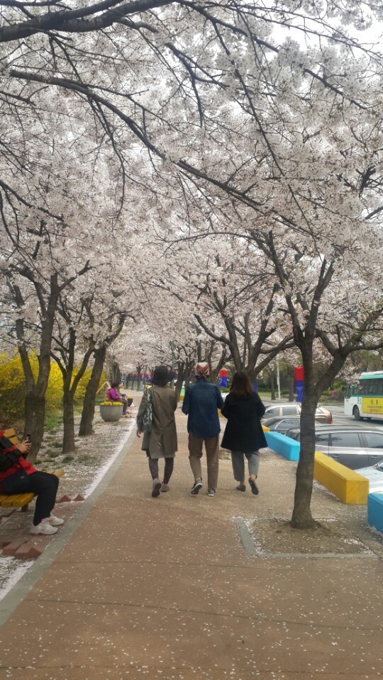 도토리퀼트 이미지