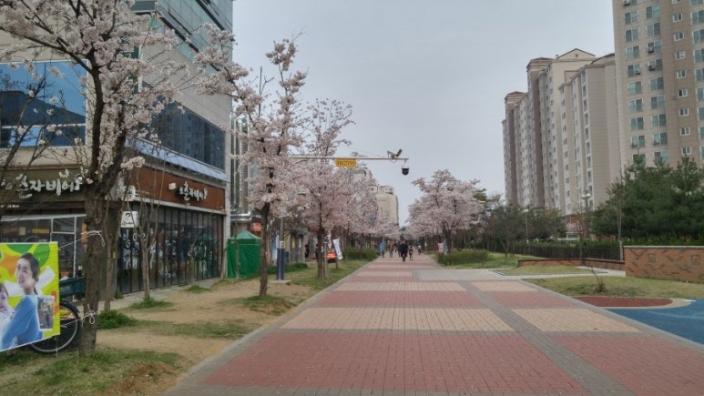 반계공원 이미지