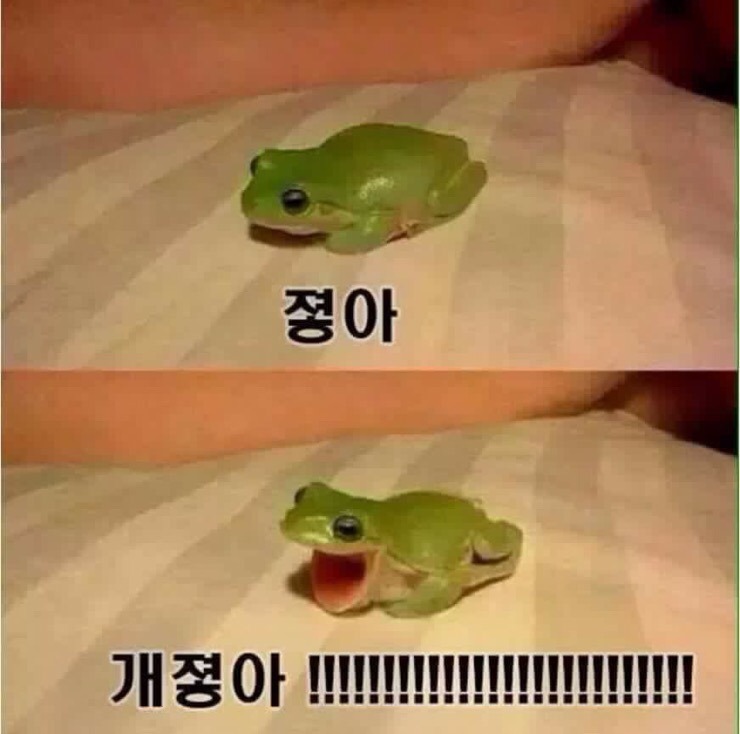 초밥마켓 이미지