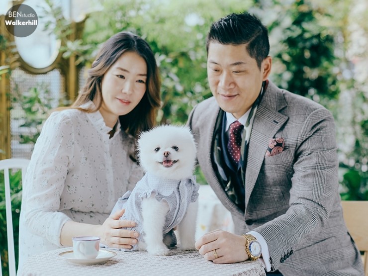 벤스튜디오 이미지