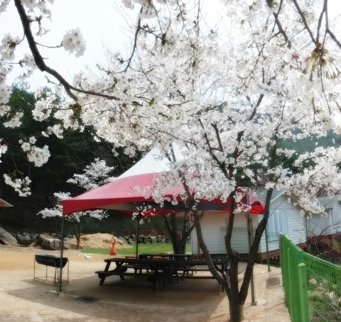장선골산장 이미지
