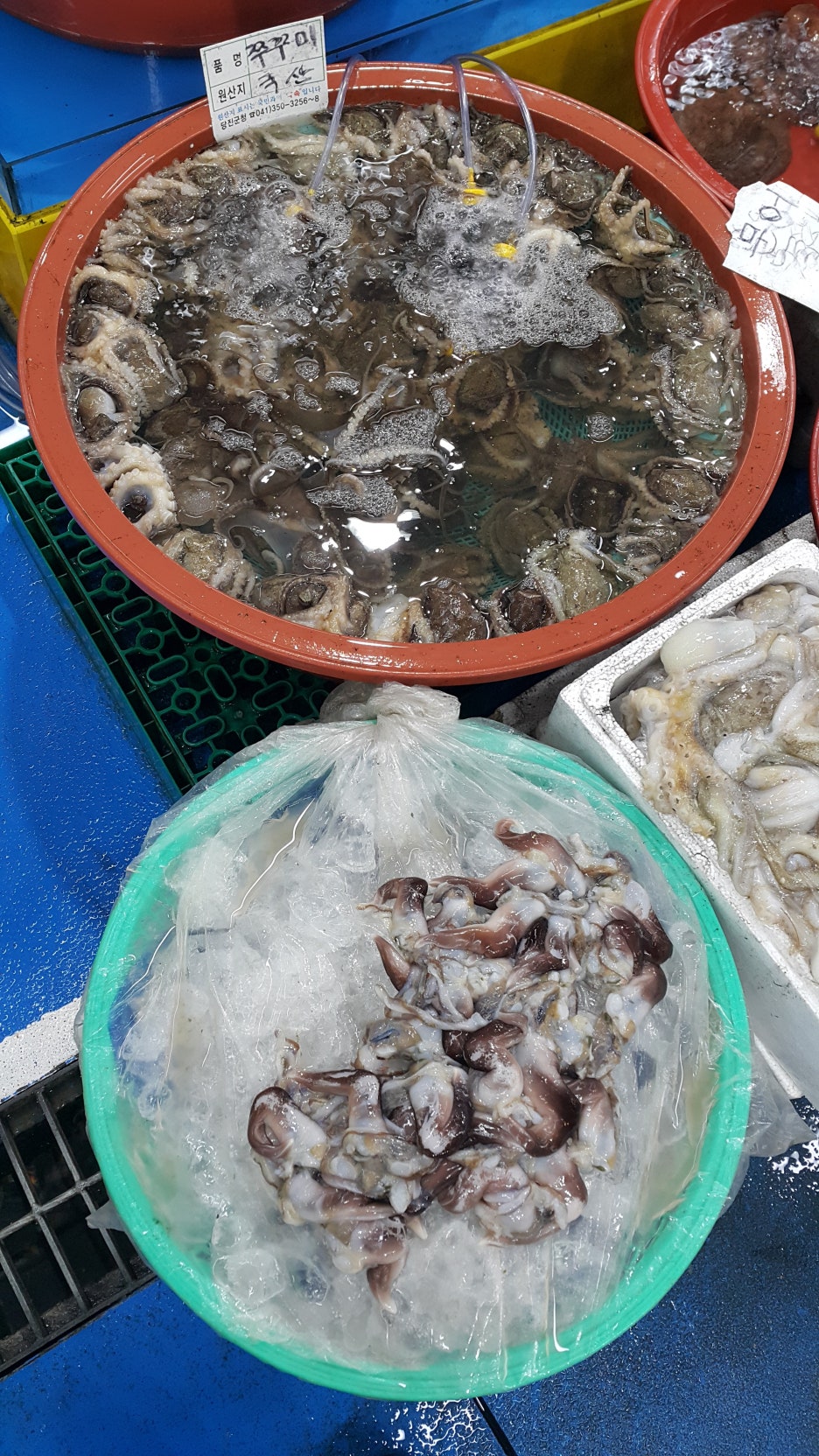 덕성호수산 이미지