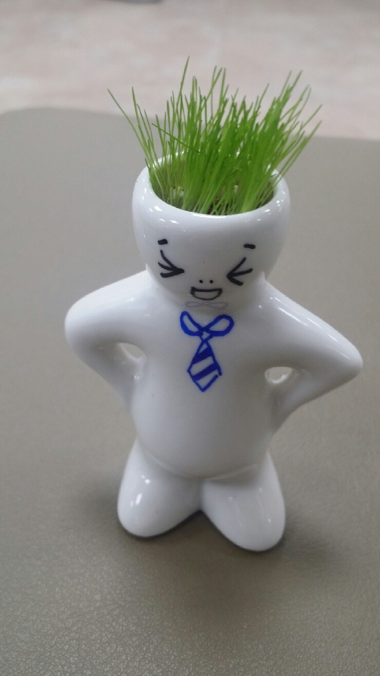 누리플랜트 이미지